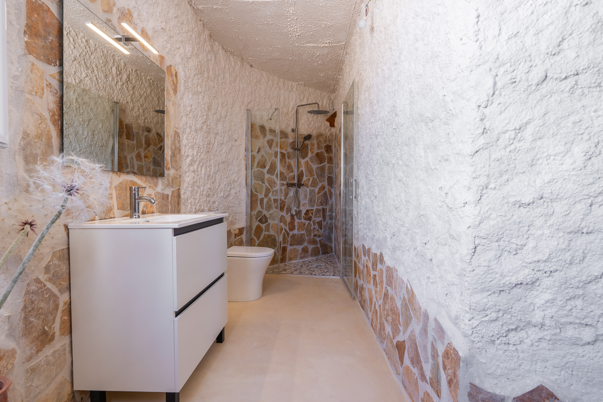Private bathroom with walk-in shower